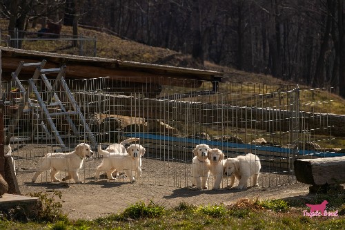 I loro primi 60 giorni di vita